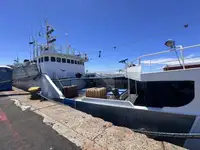 Trålare till salu