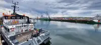 Katamaran till salu