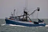 Purse seiner till salu