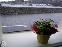 Kutter till salu