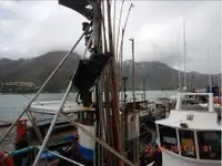 Trålare till salu