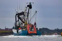 Purse seiner till salu