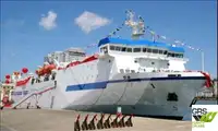 Ro-Ro ship till salu