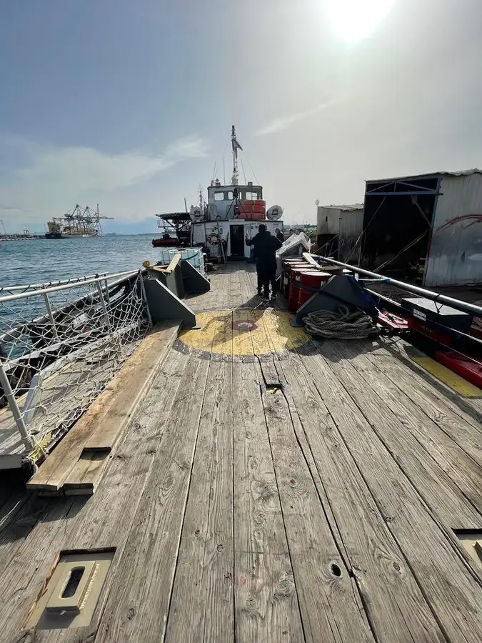 Containerskepp till salu