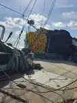 Purse seiner till salu