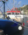 Trålare till salu