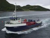 Arbetsbåtar till salu