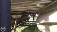 Containerskepp till salu
