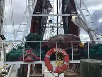 Trålare till salu