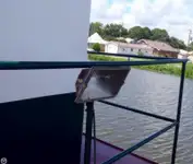 Bogserbåt till salu