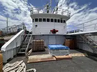 Trålare till salu