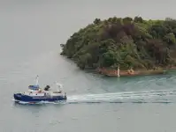Katamaran till salu