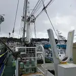 Purse seiner till salu