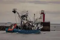 Purse seiner till salu