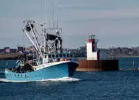 Purse seiner till salu