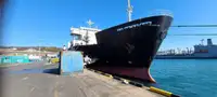 Ro-Ro ship till salu