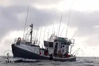 Trålare till salu