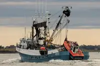 Purse seiner till salu