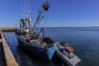 Purse seiner till salu