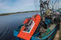 Purse seiner till salu