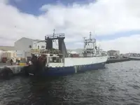 Trålare till salu