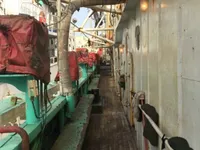 Bläckfiskfångarfartyg till salu