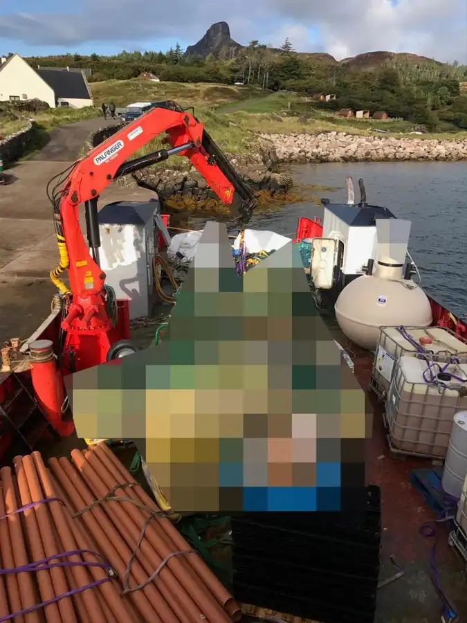 Arbetsbåtar till salu