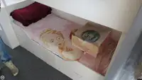 Trålare till salu