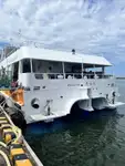 Katamaran till salu