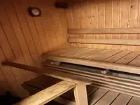 Kryssningsfartyg till salu