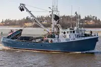 Purse seiner till salu