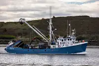 Purse seiner till salu