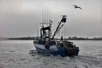 Purse seiner till salu