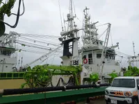 Purse seiner till salu