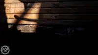 Trålare till salu