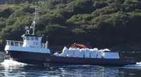 Arbetsbåtar till salu