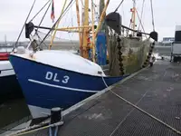 Trålare till salu