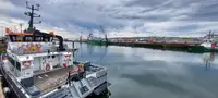 Katamaran till salu
