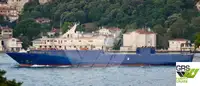 Ro-Ro ship till salu