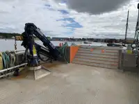 Katamaran till salu