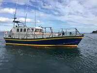 Livbåt till salu