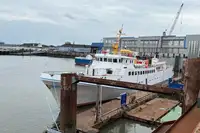 Kryssningsfartyg till salu