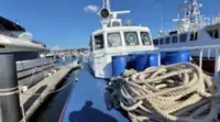 Patrullbåt till salu