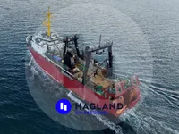 Stor frystrålare till salu