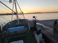 Trålare till salu