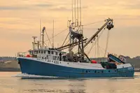 Purse seiner till salu