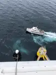 Katamaran till salu