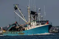 Purse seiner till salu