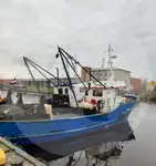 Levande fisktransportfartyg till salu