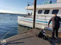 Färja till salu